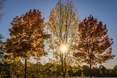 Dutzendteich, Nürnberg