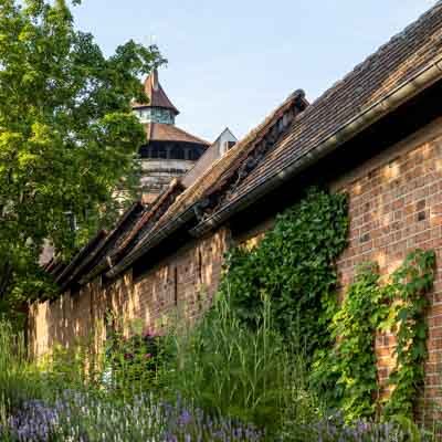 Heilkräutergarten am Hallertor