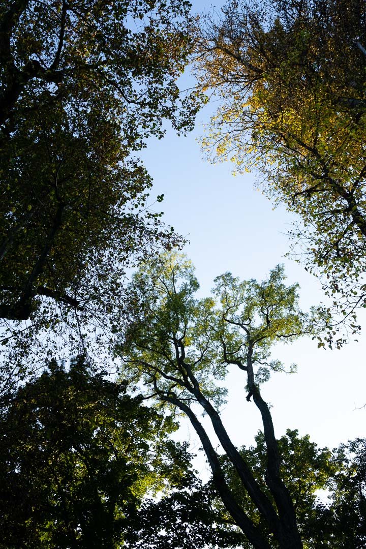 Wasserschloss Oberbürg