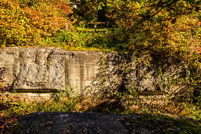 Märzfeld Fundamentreste, Langwasser