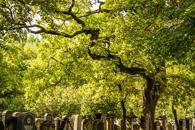 Neuer Jüdischer Friedhof
