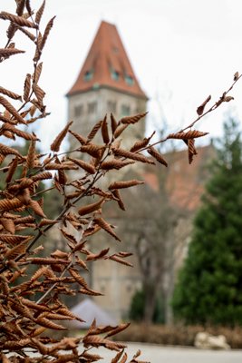 Schloss Faber-Castell