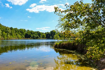 Volkspark Dutzendteich